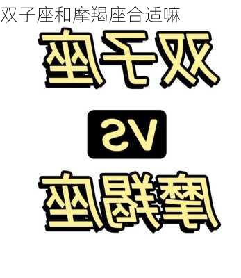 双子座和摩羯座合适嘛-第2张图片-滋味星座网