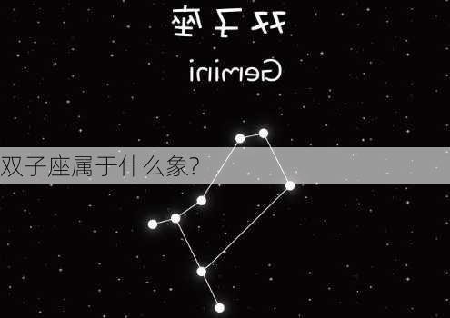 双子座属于什么象?-第2张图片-滋味星座网