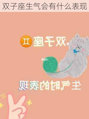 双子座生气会有什么表现-第1张图片-滋味星座网