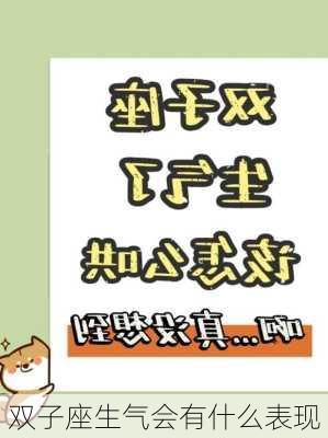 双子座生气会有什么表现-第3张图片-滋味星座网