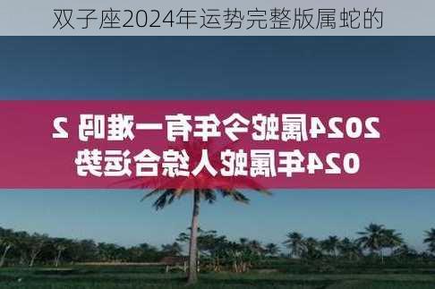 双子座2024年运势完整版属蛇的-第3张图片-滋味星座网