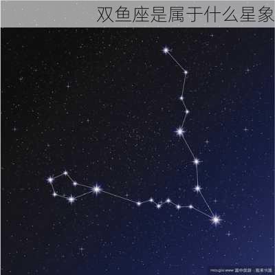 双鱼座是属于什么星象-第1张图片-滋味星座网