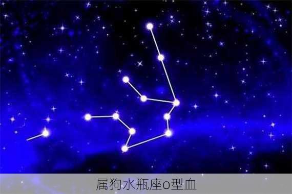 属狗水瓶座o型血-第1张图片-滋味星座网