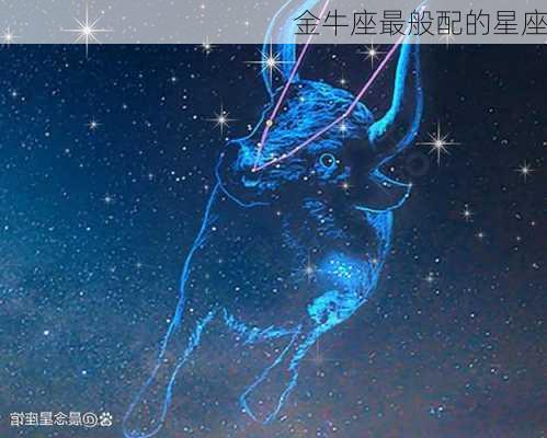 金牛座最般配的星座-第2张图片-滋味星座网