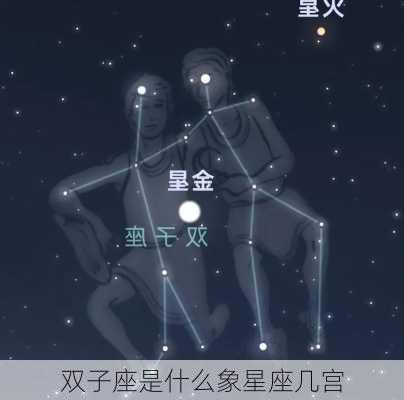 双子座是什么象星座几宫-第1张图片-滋味星座网