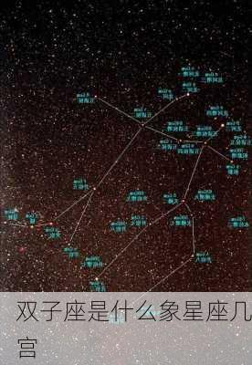 双子座是什么象星座几宫-第3张图片-滋味星座网