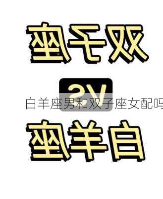 白羊座男和双子座女配吗-第2张图片-滋味星座网