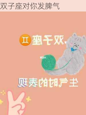 双子座对你发脾气-第2张图片-滋味星座网