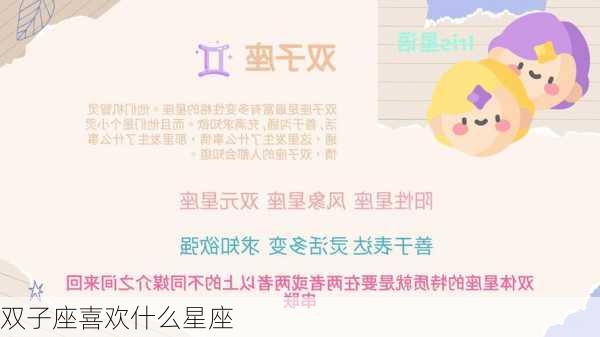 双子座喜欢什么星座-第3张图片-滋味星座网