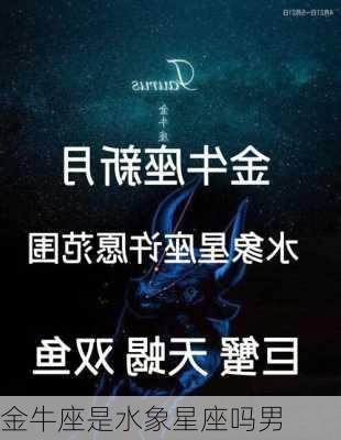 金牛座是水象星座吗男-第3张图片-滋味星座网