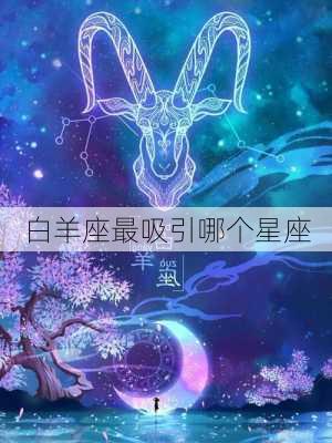 白羊座最吸引哪个星座