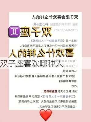 双子座喜欢哪种人-第2张图片-滋味星座网