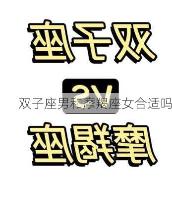 双子座男和摩羯座女合适吗-第3张图片-滋味星座网