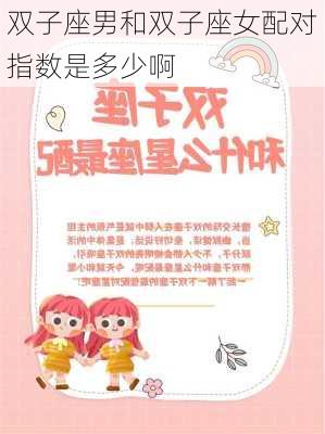 双子座男和双子座女配对指数是多少啊