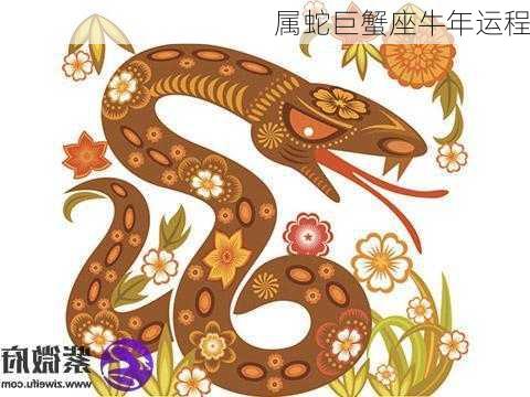 属蛇巨蟹座牛年运程-第3张图片-滋味星座网