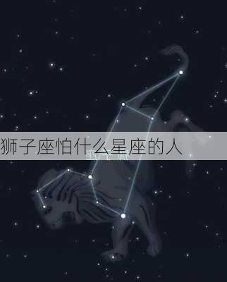 狮子座怕什么星座的人-第1张图片-滋味星座网