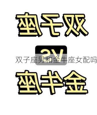 双子座男和金牛座女配吗-第1张图片-滋味星座网