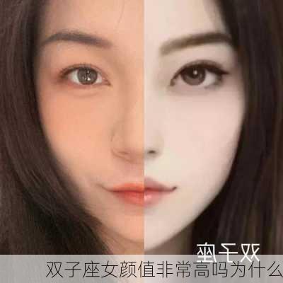 双子座女颜值非常高吗为什么-第1张图片-滋味星座网