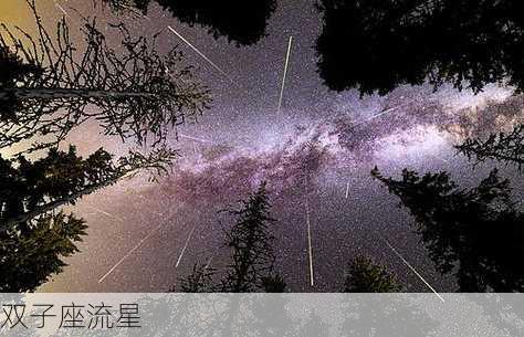 双子座流星-第2张图片-滋味星座网