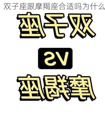 双子座跟摩羯座合适吗为什么