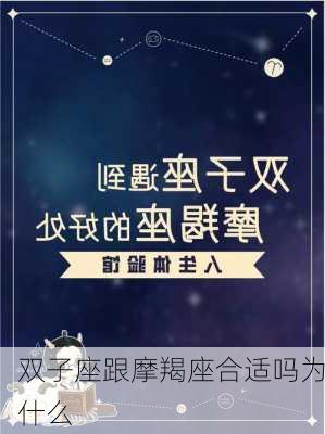 双子座跟摩羯座合适吗为什么-第3张图片-滋味星座网