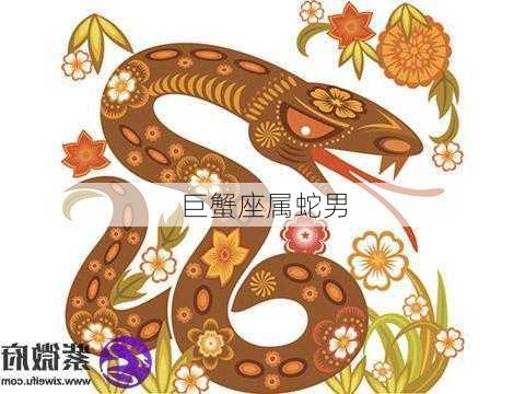 巨蟹座属蛇男-第3张图片-滋味星座网