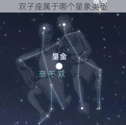 双子座属于哪个星象类型-第2张图片-滋味星座网