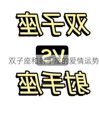 双子座和射手座的爱情运势-第1张图片-滋味星座网