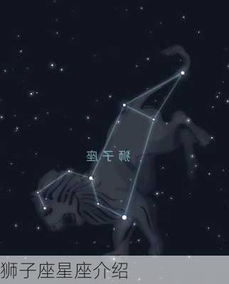 狮子座星座介绍-第1张图片-滋味星座网