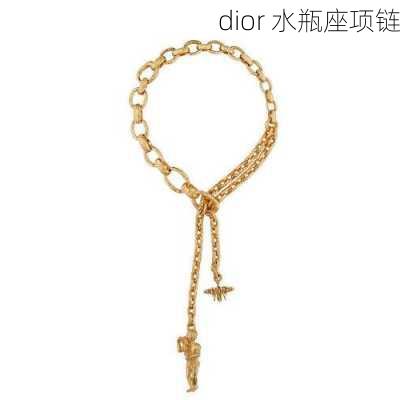 dior 水瓶座项链