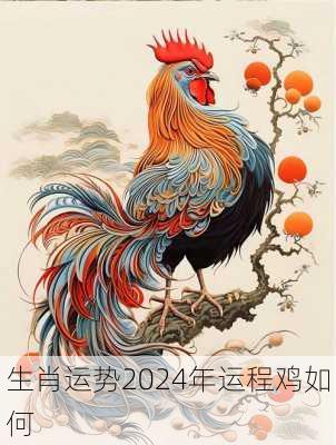 生肖运势2024年运程鸡如何-第3张图片-滋味星座网