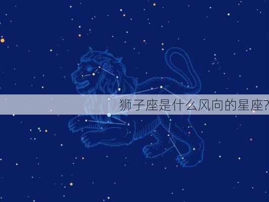 狮子座是什么风向的星座?-第2张图片-滋味星座网