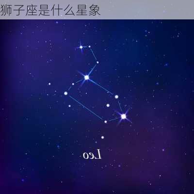 狮子座是什么星象-第1张图片-滋味星座网