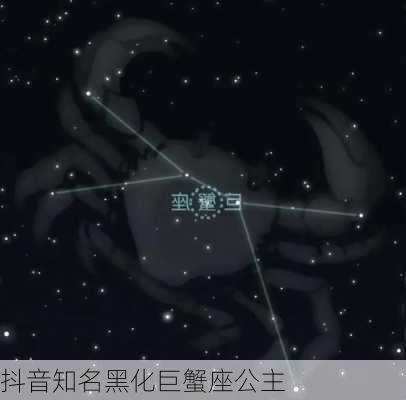 抖音知名黑化巨蟹座公主-第3张图片-滋味星座网