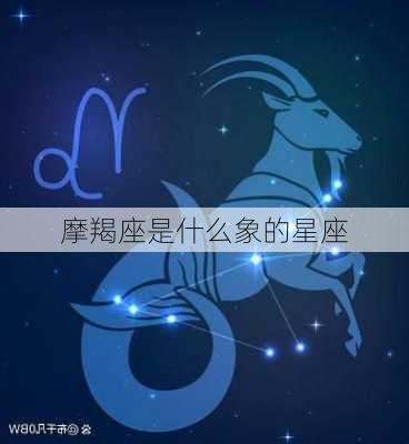 摩羯座是什么象的星座-第1张图片-滋味星座网