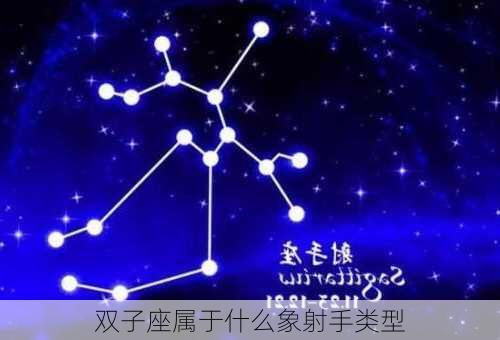 双子座属于什么象射手类型-第3张图片-滋味星座网