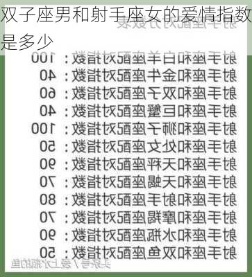 双子座男和射手座女的爱情指数是多少-第2张图片-滋味星座网
