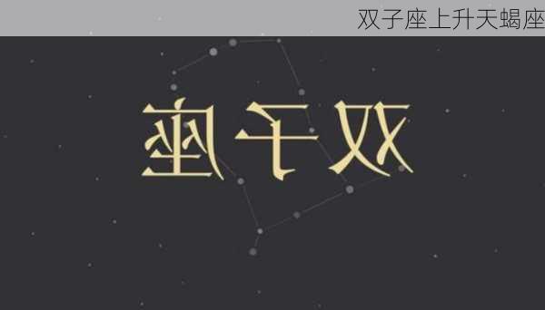 双子座上升天蝎座-第2张图片-滋味星座网