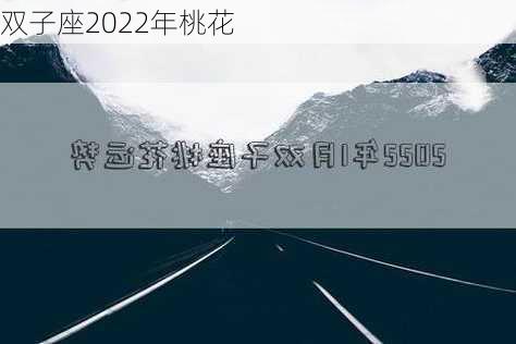 双子座2022年桃花-第3张图片-滋味星座网