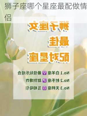 狮子座哪个星座最配做情侣-第3张图片-滋味星座网