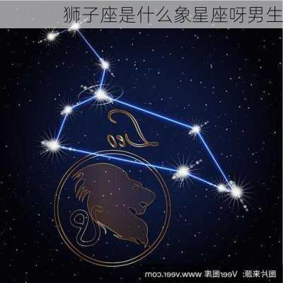 狮子座是什么象星座呀男生