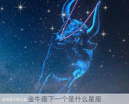 金牛座下一个是什么星座-第3张图片-滋味星座网