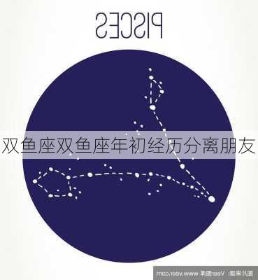 双鱼座双鱼座年初经历分离朋友-第2张图片-滋味星座网