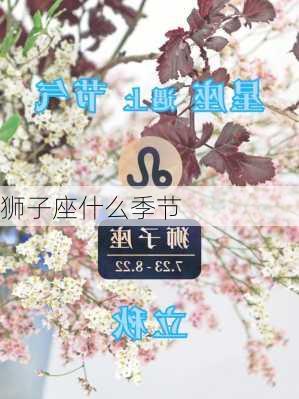 狮子座什么季节