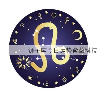 狮子座今日运势紫薇科技-第2张图片-滋味星座网