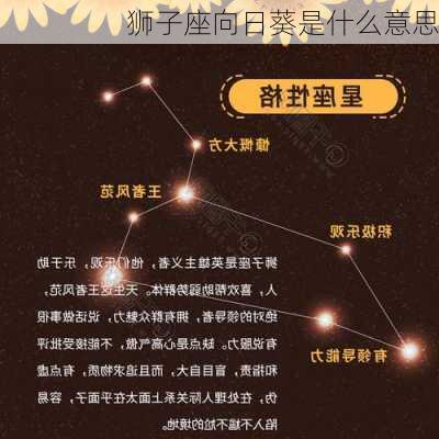 狮子座向日葵是什么意思-第2张图片-滋味星座网