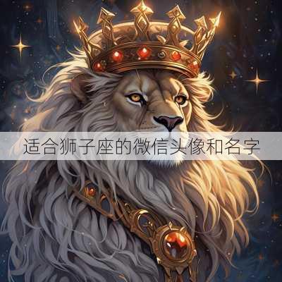 适合狮子座的微信头像和名字-第3张图片-滋味星座网