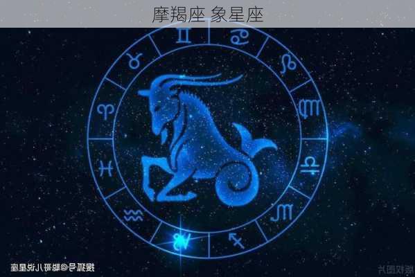 摩羯座 象星座-第3张图片-滋味星座网