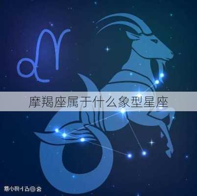 摩羯座属于什么象型星座-第1张图片-滋味星座网