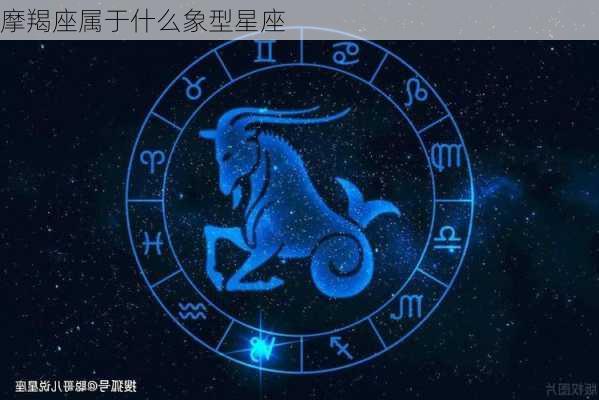 摩羯座属于什么象型星座-第2张图片-滋味星座网